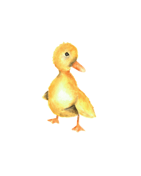 Watercolor of a yellow Baby Duck