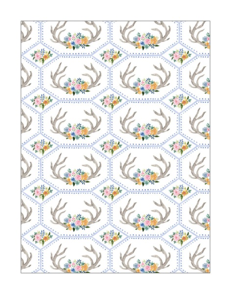 rows of antlers on a white background